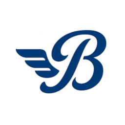 Bay Flyer